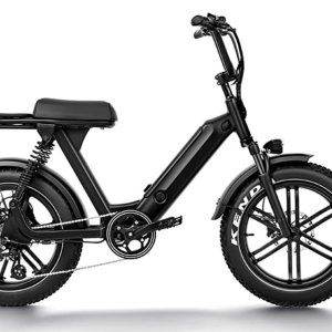 20 inch fat tyre ebike