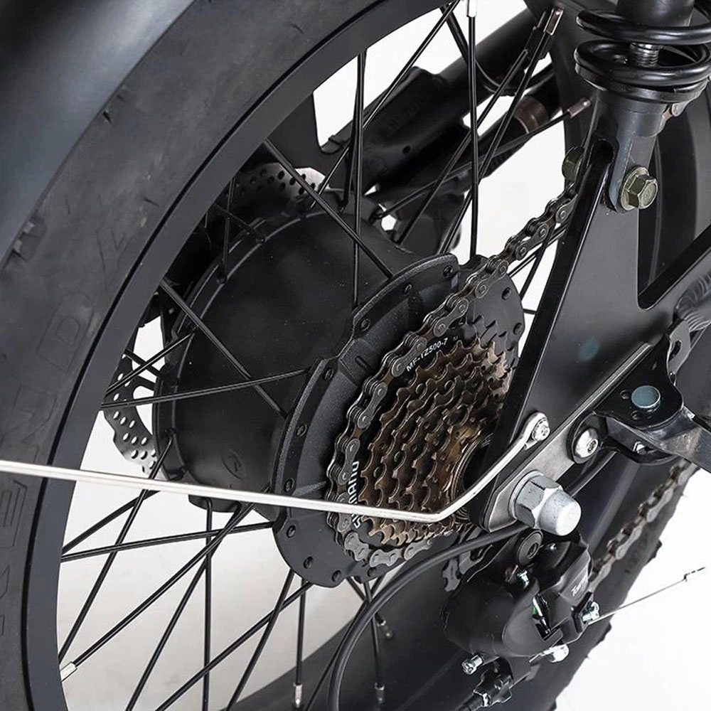 ebike lốp béo 20 inch