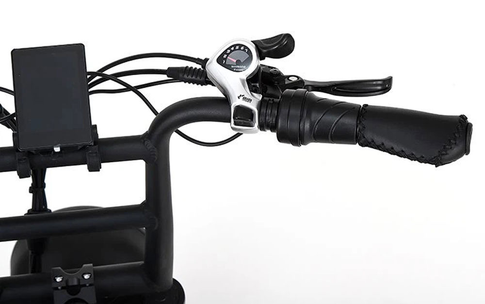 ebike lốp béo 20 inch