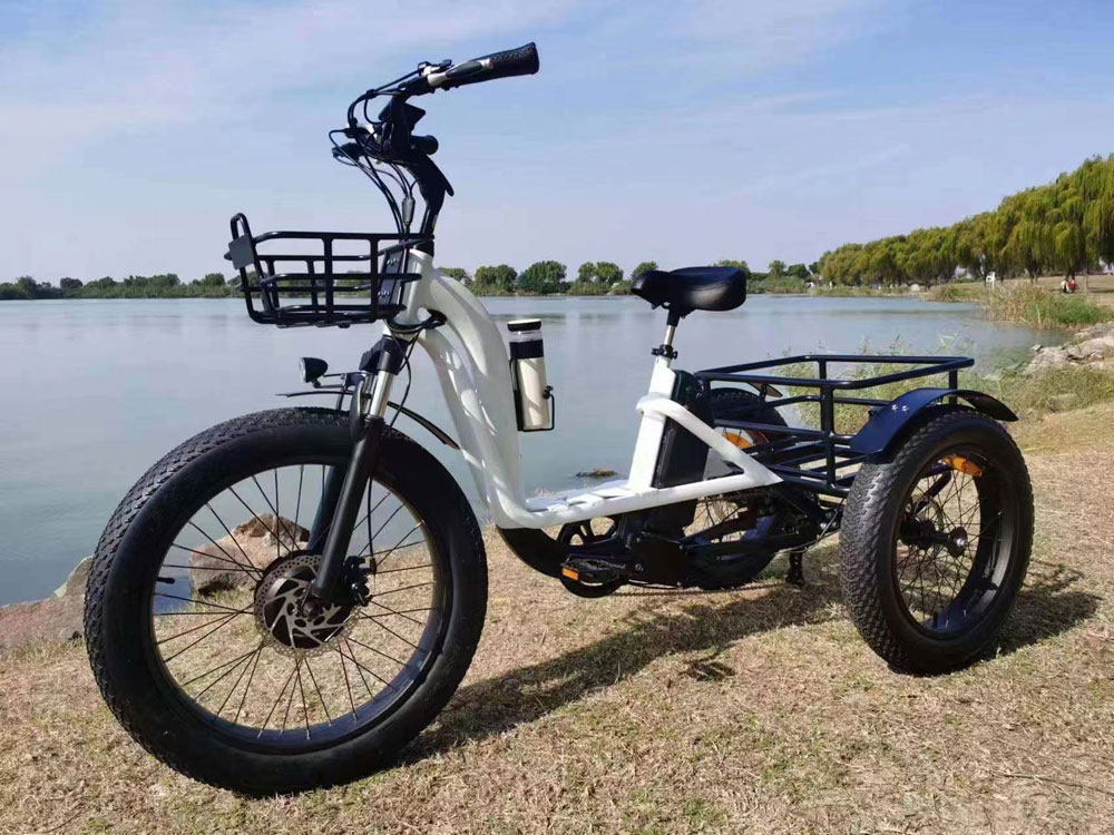elektrische driewieler