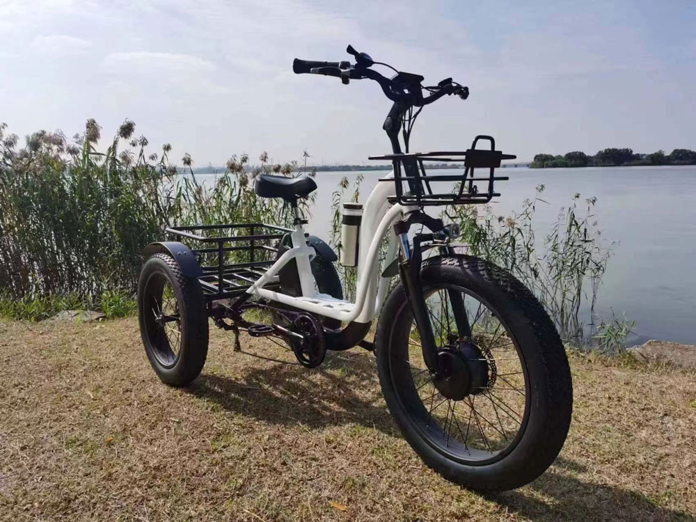elektrische driewieler
