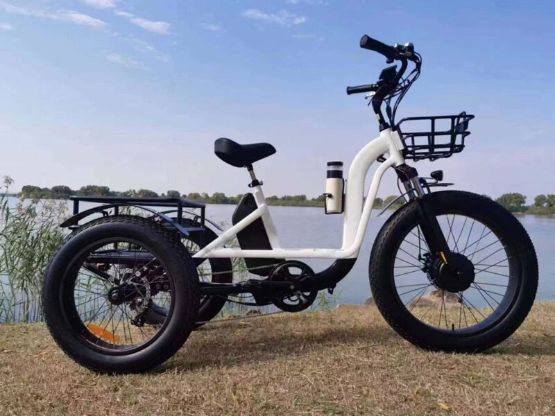 electric tricycle