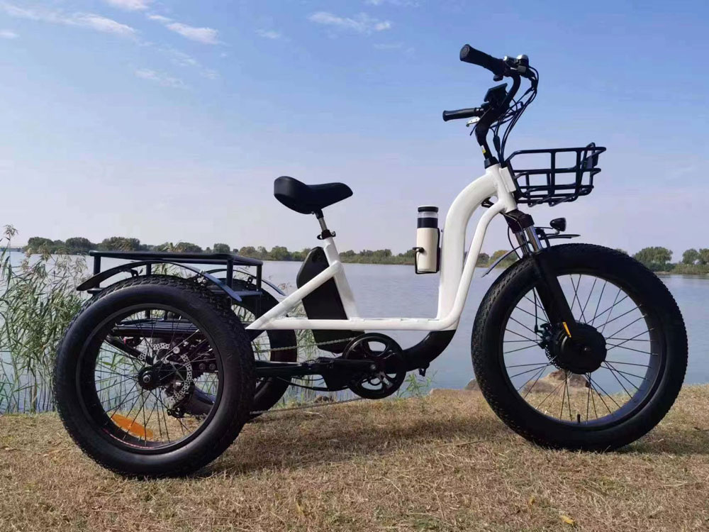 elektrische driewieler