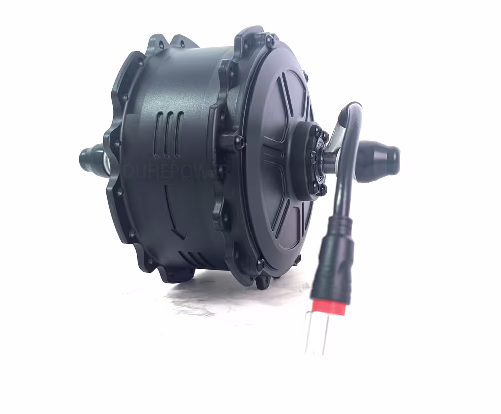 1500W BLDC motor